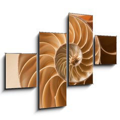 Obraz 4D tydln - 120 x 90 cm F_IB27136631 - close up nautilus shell pattern - zblzka nautilus shell vzor