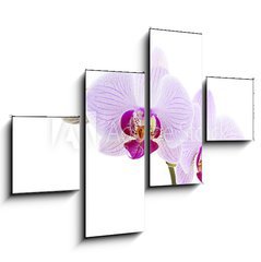 Obraz 4D tydln - 120 x 90 cm F_IB28589328 - Pink Orchid