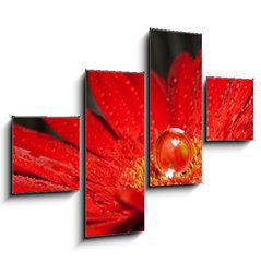Obraz tydln 4D - 120 x 90 cm F_IB28762930 - rote Gerbera mit Wassertropfen