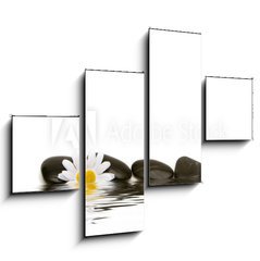 Obraz tydln 4D - 120 x 90 cm F_IB2881748 - spa stones and daisy