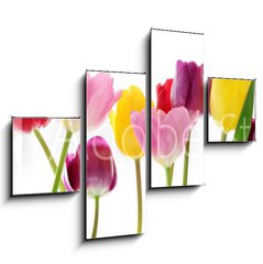 Obraz 4D tydln - 120 x 90 cm F_IB29490982 - Spring tulip flowers in a row