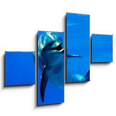 Obraz 4D tydln - 120 x 90 cm F_IB2962265 - delfn - dolphin