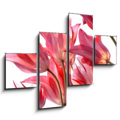 Obraz 4D tydln - 120 x 90 cm F_IB29639860 - Beautiful tulips.