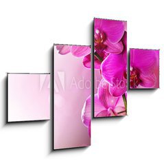 Obraz 4D tydln - 120 x 90 cm F_IB30014255 - Orchid Flower border design