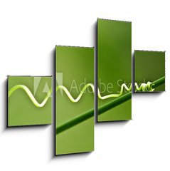 Obraz tydln 4D - 120 x 90 cm F_IB30109115 - An ivy plant - Bean