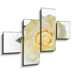 Obraz tydln 4D - 120 x 90 cm F_IB30527713 - Single White Rose