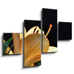Obraz   pistils d iris, 120 x 90 cm
