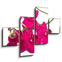 Obraz 4D tydln - 120 x 90 cm F_IB30847359 - orchidea su sfondo bianco