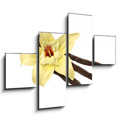 Obraz 4D tydln - 120 x 90 cm F_IB30979053 - Vanilla Bean and Flower (clipping path) - Vanilkov fazole a kvtina (oezov cesta)