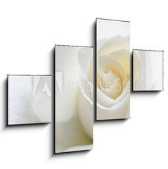 Obraz 4D tydln - 120 x 90 cm F_IB31158130 - Soft white rose