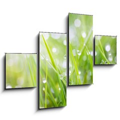 Obraz 4D tydln - 120 x 90 cm F_IB31545504 - sparkling grass - umiv trva