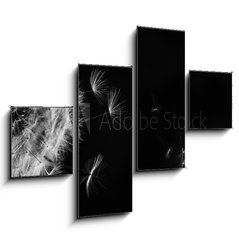 Obraz 4D tydln - 120 x 90 cm F_IB317106413 - White dandelion on blue