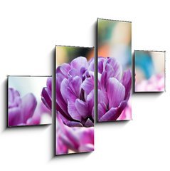 Obraz tydln 4D - 120 x 90 cm F_IB31786414 - Lila tulpe
