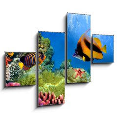 Obraz 4D tydln - 120 x 90 cm F_IB31880549 - Marine life on the coral reef