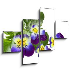Obraz tydln 4D - 120 x 90 cm F_IB31960415 - Pansy - Maceka