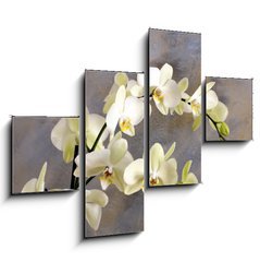 Obraz tydln 4D - 120 x 90 cm F_IB32089730 - Orchidea bianca