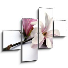 Obraz tydln 4D - 120 x 90 cm F_IB3283757 - magnolia blossom