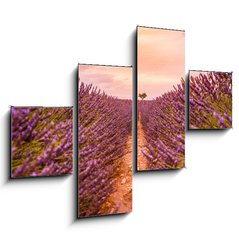Obraz 4D tydln - 120 x 90 cm F_IB328521401 - Dramatic sunset landscape. Tree in lavender field at sunset in Provence, France