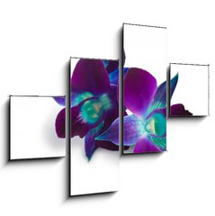 Obraz 4D tydln - 120 x 90 cm F_IB33133448 - orchid - orchidej