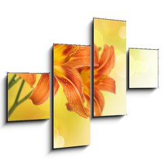 Obraz 4D tydln - 120 x 90 cm F_IB33384107 - Yellow Lily Flower border design