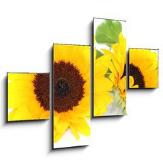 Obraz 4D tydln - 120 x 90 cm F_IB33524592 - Sonnenblumen