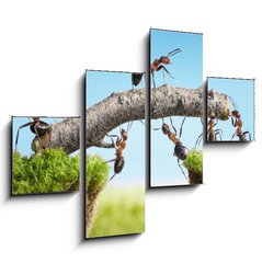 Obraz 4D tydln - 120 x 90 cm F_IB33747166 - teamwork, team of ants costructing bridge