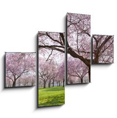 Obraz 4D tydln - 120 x 90 cm F_IB34040343 - Sakura