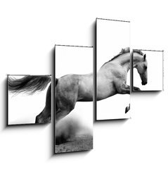 Obraz 4D tydln - 120 x 90 cm F_IB34235049 - silver-white stallion on black - stbrn