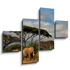 Obraz   Elephant family in front of Mt. Kilimanjaro, 120 x 90 cm