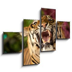 Obraz tydln 4D - 120 x 90 cm F_IB35010447 - The tiger growls