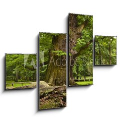 Obraz 4D tydln - 120 x 90 cm F_IB35462578 - alte Eiche