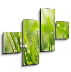 Obraz 4D tydln - 120 x 90 cm F_IB35733159 - Morning Dew