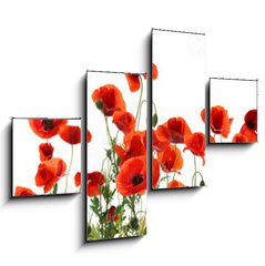 Obraz 4D tydln - 120 x 90 cm F_IB357867320 - Beautiful red poppy flowers on white background. Banner design