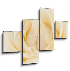 Obraz tydln 4D - 120 x 90 cm F_IB36659824 - Rosenbl te - Okvtn lstky r