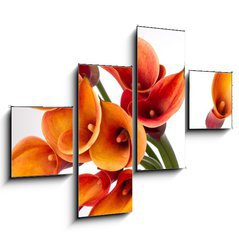 Obraz tydln 4D - 120 x 90 cm F_IB37918166 - Orange Calla lilies(Zantedeschia) over white