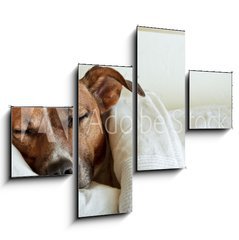 Obraz 4D tydln - 120 x 90 cm F_IB38583425 - dog in bed