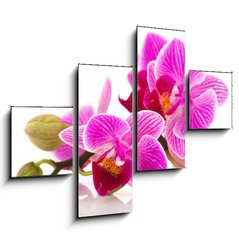 Obraz 4D tydln - 120 x 90 cm F_IB38877808 - Tropical pink orchid