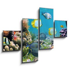 Obraz 4D tydln - 120 x 90 cm F_IB39646629 - Underwater panorama in a coral reef with colorful tropical fish and marine life - Podvodn panorama v korlovm tesu s barevnmi tropickmi rybami a moskm ivotem