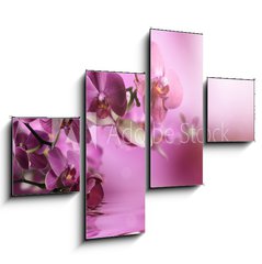 Obraz 4D tydln - 120 x 90 cm F_IB39704074 - Orchid flowers composition