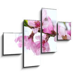 Obraz 4D tydln - 120 x 90 cm F_IB39835010 - pink blossoms
