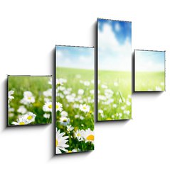 Obraz 4D tydln - 120 x 90 cm F_IB40565280 - field of daisy flowers