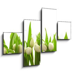 Obraz 4D tydln - 120 x 90 cm F_IB40774643 - Weie Tulpen