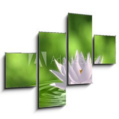 Obraz tydln 4D - 120 x 90 cm F_IB41172939 - Floating waterlily