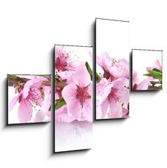 Obraz 4D tydln - 120 x 90 cm F_IB41227262 - beautiful pink peach blossom isolated on white - krsn rov broskvov kvt izolovanch na blm