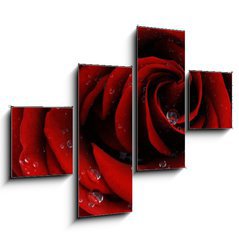 Obraz 4D tydln - 120 x 90 cm F_IB41252585 - Red rose closeup