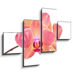 Obraz 4D tydln - 120 x 90 cm F_IB41466229 - Pink orchid