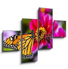 Obraz 4D tydln - 120 x 90 cm F_IB41610783 - Monarch Butterfly - Monarch motl
