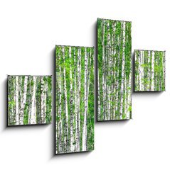 Obraz 4D tydln - 120 x 90 cm F_IB41678532 - Birch forest. May