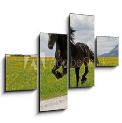 Obraz 4D tydln - 120 x 90 cm F_IB41915305 - Friese - Friesian