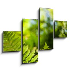Obraz 4D tydln - 120 x 90 cm F_IB419413555 - Green fresh fern leafs in a forest with trees in the background and a blue sky